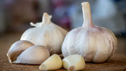 Чим поливати часник у травні, щоб він не пожовтів: ефективні методи підживлення без хімії - фото