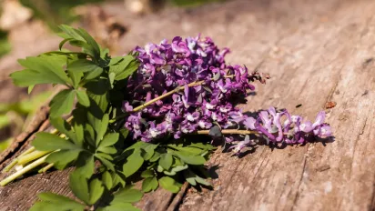 Народне свято 16 травня: Федір Житник — що можна й чого не варто робити цього дня - фото