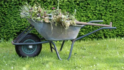 Не копай землю: ці прості методи знищать бур’яни краще за лопату - фото