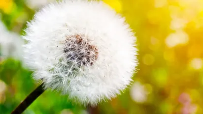 19 травня — народне свято Івана Довгого: що потрібно зробити, щоб залучити багатство та удачу - фото