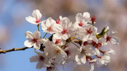 Гороскоп на 20 травня 2025 року для всіх знаків Зодіаку - фото