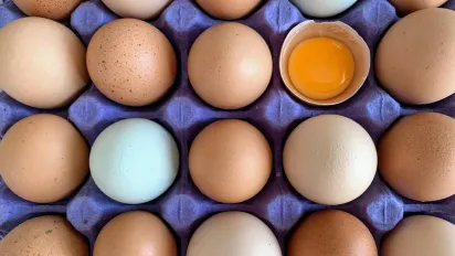 Коричневі чи білі курячі яйця: як насправді колір впливає на їхню користь - фото