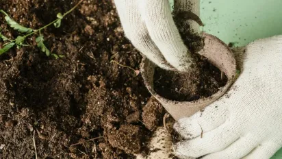 Розумне компостування: як перетворити харчові відходи на добриво - фото