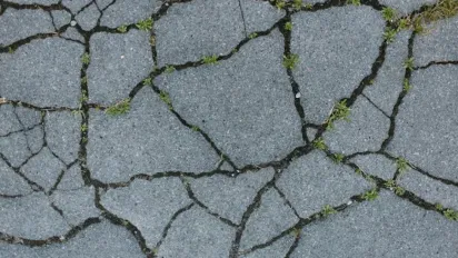 Простий кухонний засіб проти бур'янів між плиткою: ефективний лайфхак - фото