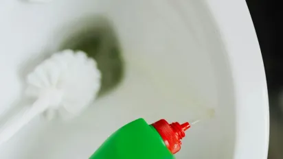 Як швидко позбутися вапняного нальоту в туалеті: простий, але надзвичайно ефективний спосіб - фото