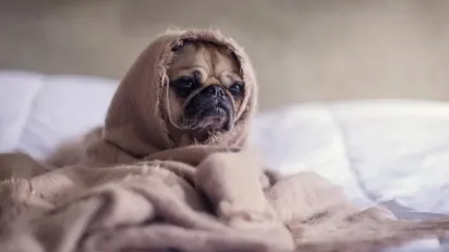 Українців чекають температурні гойдалки: на заході — осінь, на сході — спекотне літо - фото