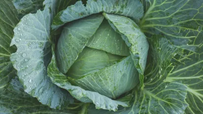 Корисна альтернатива м’ясу: пісні котлети з капусти та яблук - фото