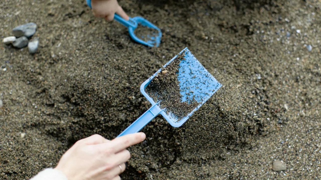 Простий пісок — сильне добриво: інструкція для городників 