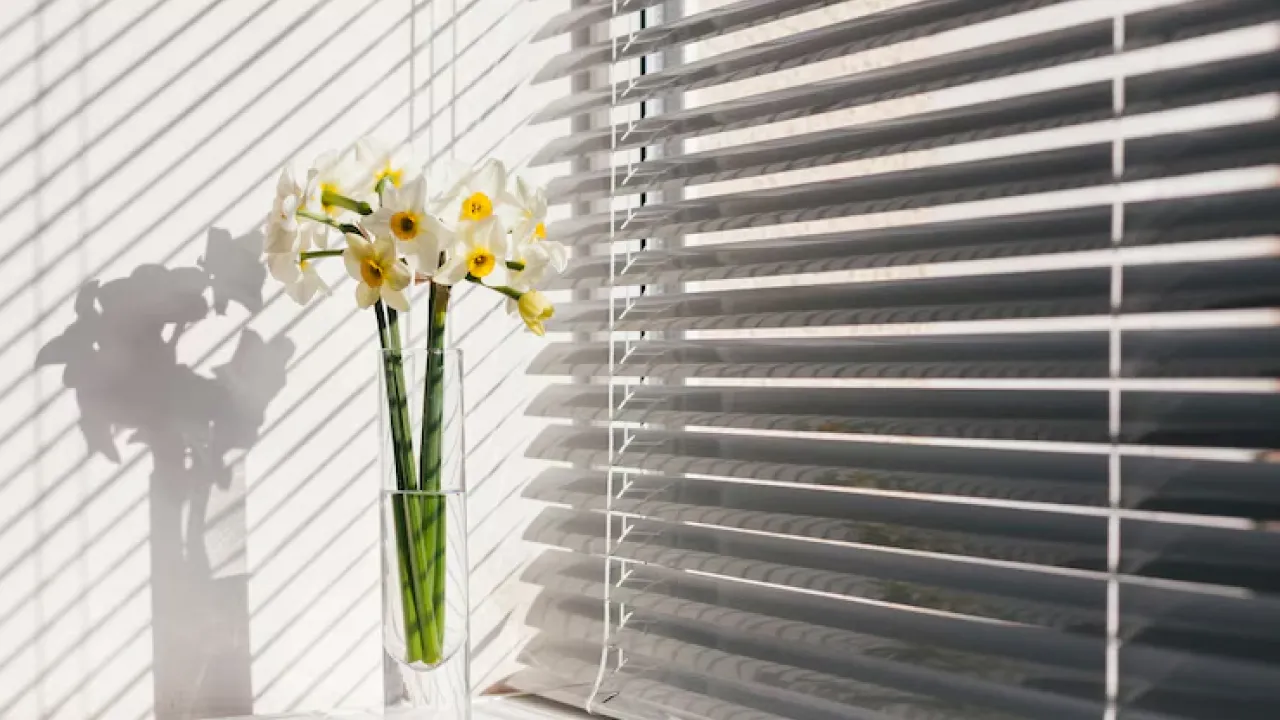 Як швидко очистити жалюзі: інструкція для тканинних, дерев’яних та пластикових 