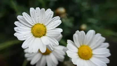 Чому 27 травня вважали несприятливим днем для будь-яких починань: народні прикмети - фото