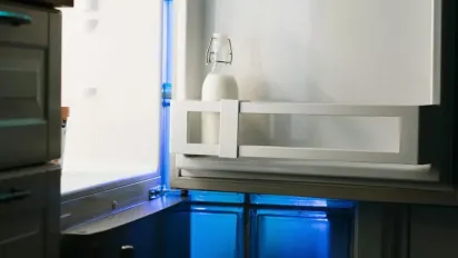 Що кладуть у холодильник досвідчені господині, щоб там завжди приємно пахло - фото