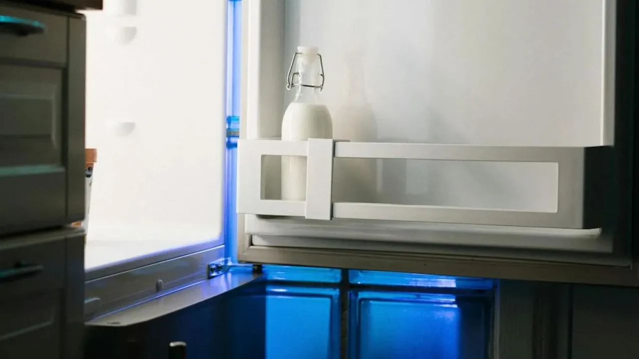 Що кладуть у холодильник досвідчені господині, щоб там завжди приємно пахло 