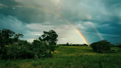  Прогноз погоди на 30 травня: короткочасні дощі, прояснення та помірна температура - фото