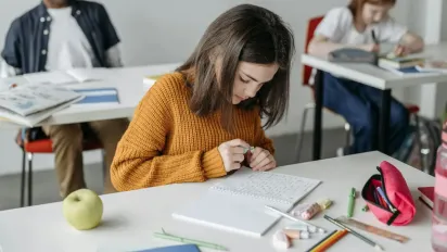 Польські школи запровадять українську мову як другу іноземну - фото