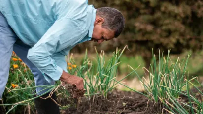 Місячний календар для садівника на червень: що посадити та коли - фото