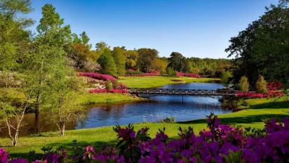 31 травня — день святого Веремія: що можна й чого не слід робити - фото