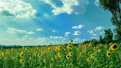 Якою буде погода влітку 2025 року в Україні: синоптики поділилися попередніми прогнозами - фото