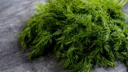 Хитрість, про яку багато хто не знає: навіщо засаджувати весь город кропом? - фото