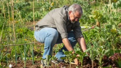 Аміак проти хруща: як зробити ґрунт непридатним для шкідників - фото