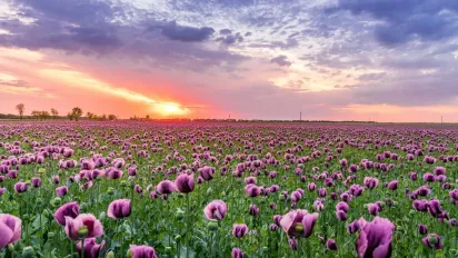 В Україну йде спека до +32: прогноз синоптика - фото