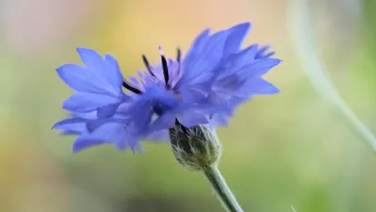 Чому 4 червня не можна лінуватися: традиції та головні заборони дня - фото