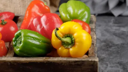 Чим підживити перець після посадки у відкритий ґрунт: поради садівникам - фото