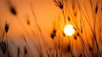 Що треба закопати біля дому 6 червня, щоб притягнути гроші: народні прикмети - фото