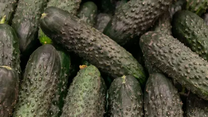 Як правильно підживлювати огірки: покрокова інструкція для рясного врожаю - фото