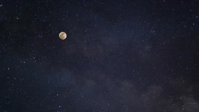 Найрозумніші знаки Зодіаку: хто завжди попереду завдяки силі розуму - фото