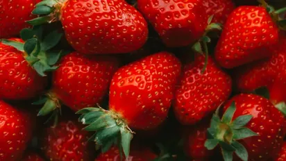 Як зберегти полуницю свіжою на 2 тижні: найкраще місце для зберігання - фото