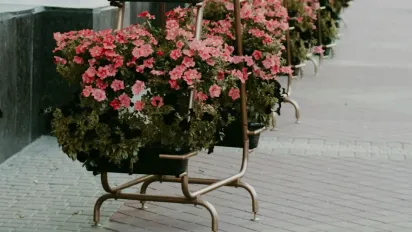 Чому ця кімнатна квітка приносить сварки й хвороби: прикмети, які не варто ігнорувати - фото