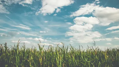 Що святкуємо 9 червня — головні традиції, заборони та прикмети дня - фото