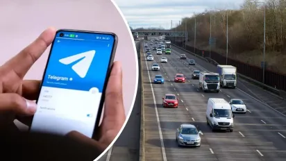 Як перевірити штрафи за допомогою чат-ботів у Viber і Telegram: покрокова інструкція - фото