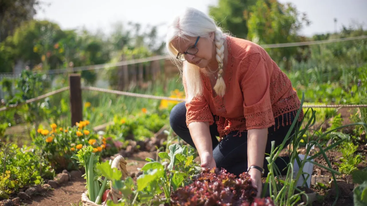 Тиждень після Трійці: що не можна робити, щоб не накликати біду 