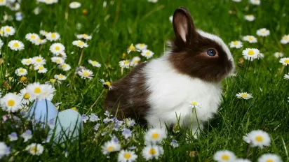 Спека відступає: синоптики розповіли, якою буде погода в Україні найближчими днями - фото
