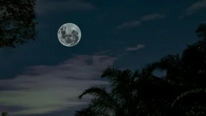 Гороскоп на 11 червня 2025 року для всіх знаків Зодіаку - фото