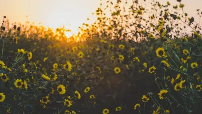 Синоптик повідомив, коли до України повернеться спека - фото