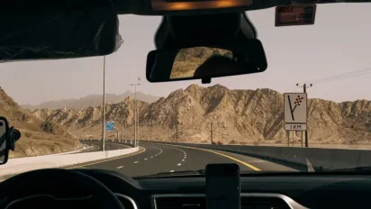 Як ефективно очистити лобове скло від мошок і пташиного посліду: перевірені засоби, які працюють - фото