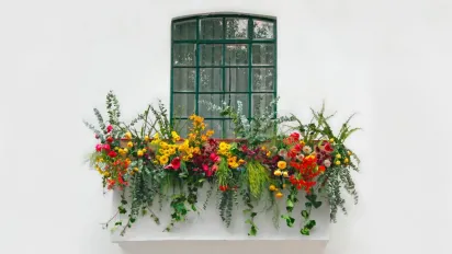 Секрет ідеально чистих вікон: народні методи, які працюють краще за хімію - фото