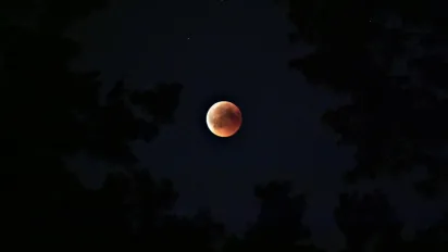 Повний Місяць у Стрільці: найважливіші зміни для кожного знаку Зодіаку в червні 2025 - фото