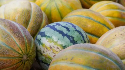 Найкращі дати для посадки кавунів і динь: урожай буде щедрим і солодким - фото