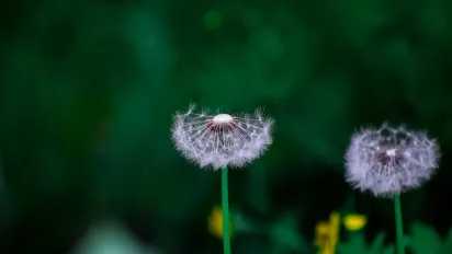 Що потрібно скуштувати 12 червня, щоб притягнути багатство: народні прикмети - фото