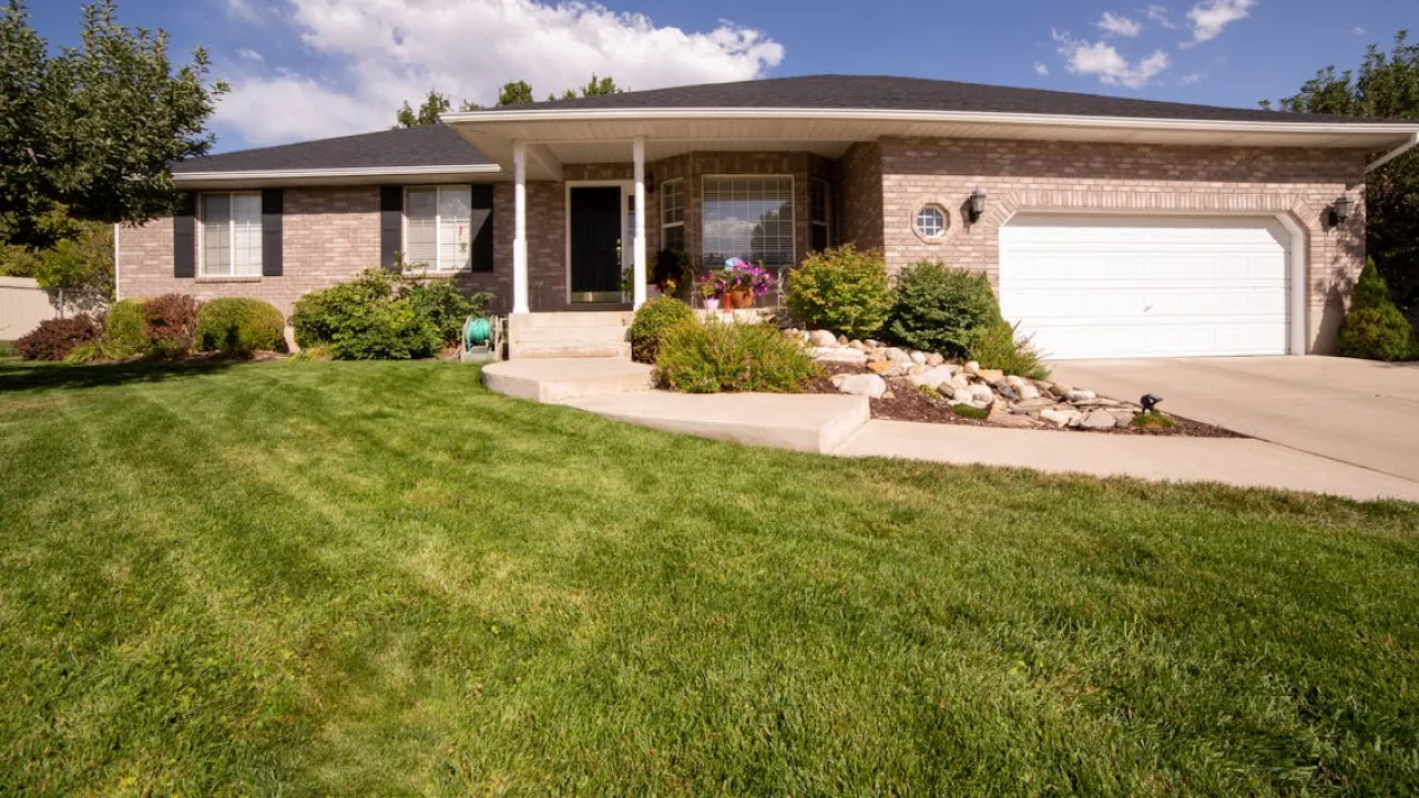 Чому влітку варто посипати газон корицею: порада від садівників 