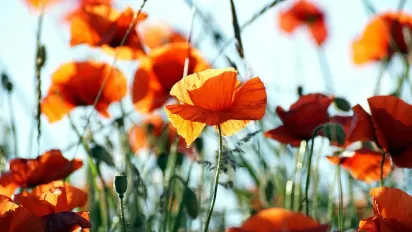 Відома синоптикиня повідомила, коли в Україні потеплішає - фото