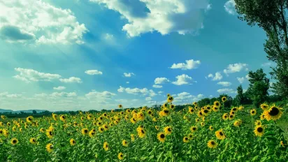 Погода в Україні на вихідні: трохи тепліше, але з дощами - фото