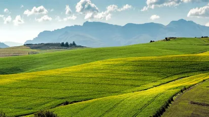 15 червня — день Святителя Михайла: що можна, а що не варто робити - фото