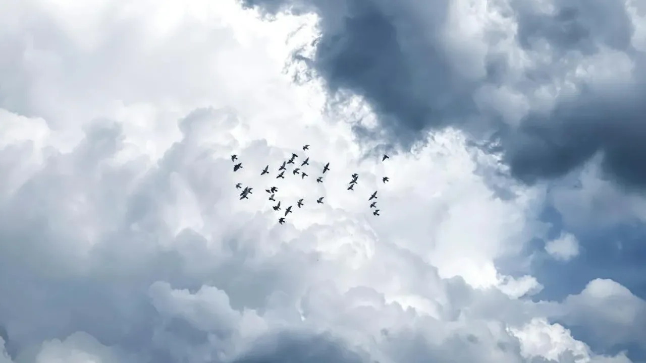 До Рівненщини йдуть дощі та штормовий вітер: якою буде погода 17–20 червня 