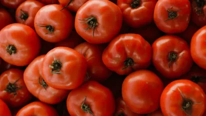 Обприскайте цим засобом помідори під час цвітіння: врожай будете збирати відрами - фото