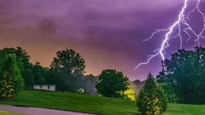Які дерева найчастіше вражає блискавка — не садіть їх біля дому - фото