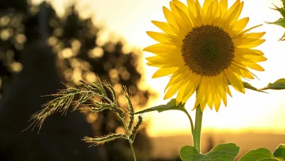 В Україну повертається прохолода: синоптики попереджають про зміну погоди перед вихідними - фото